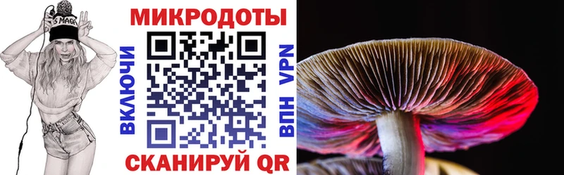 Псилоцибиновые грибы Magic Shrooms  закладка  Карпинск 